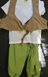 Kids Costumes to Hire - BFG, Shrek - CHILD costume